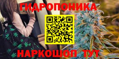 каннабис Будённовск