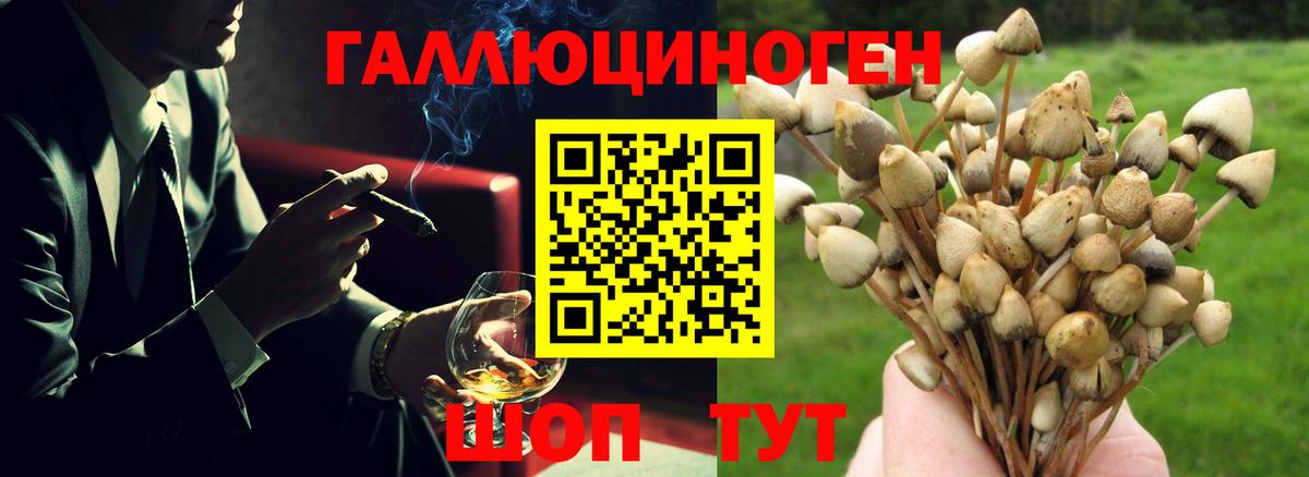 Псилоцибиновые грибы MAGIC MUSHROOMS  Вход с VPN  Галлюциногенные грибы Psilocybine cubensis  Луховицы 